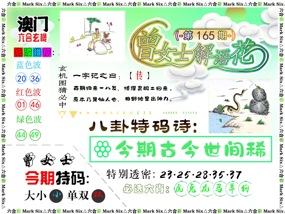 曾女士解语花 第165期