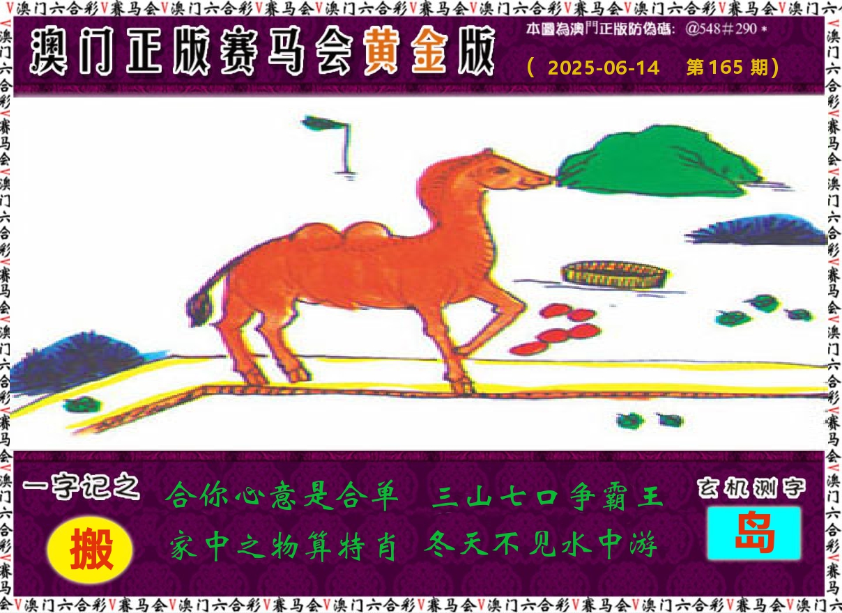 赛马会黄金版 第165期
