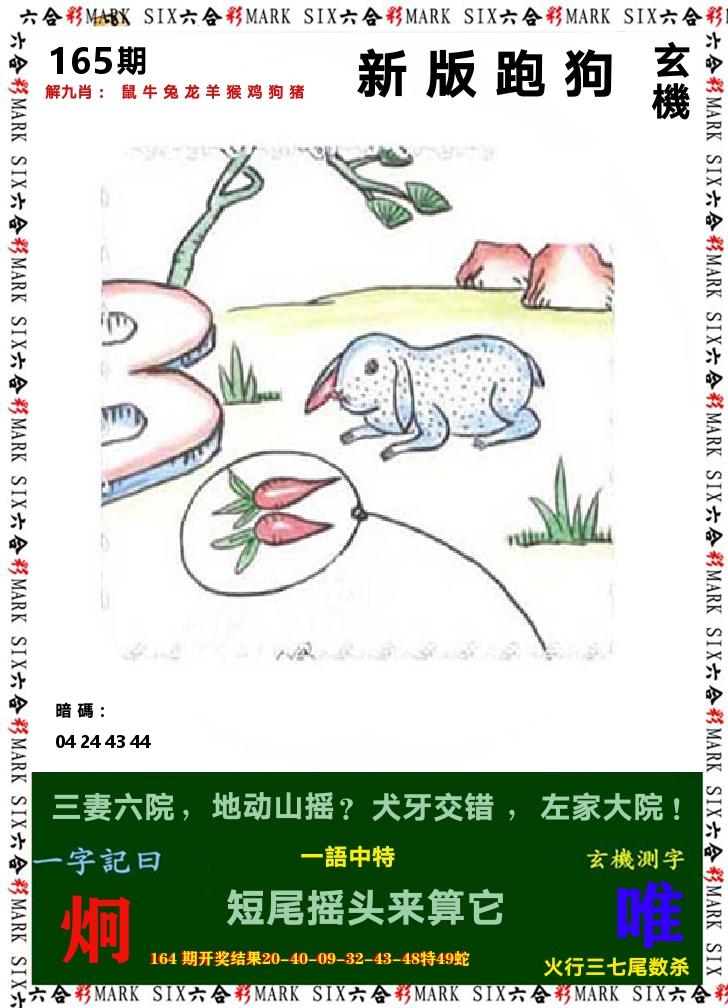 悟入其图 第165期