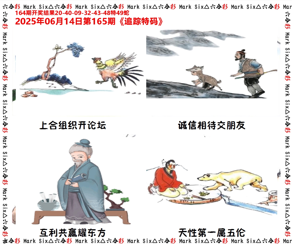 追踪特码 第165期