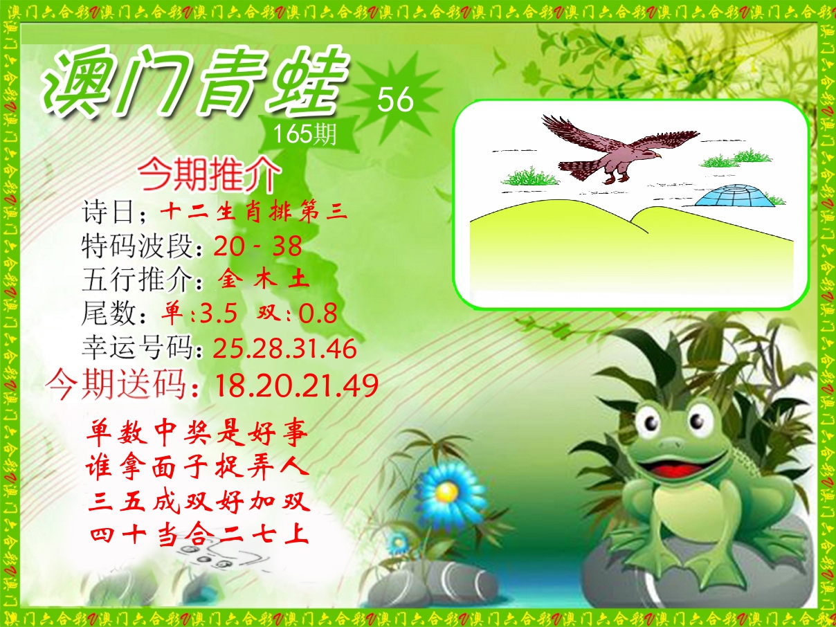 青蛙系列56 第165期