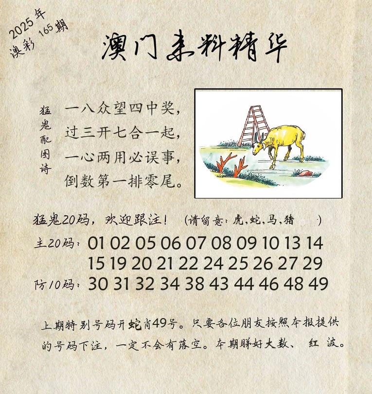 精华来料 第165期