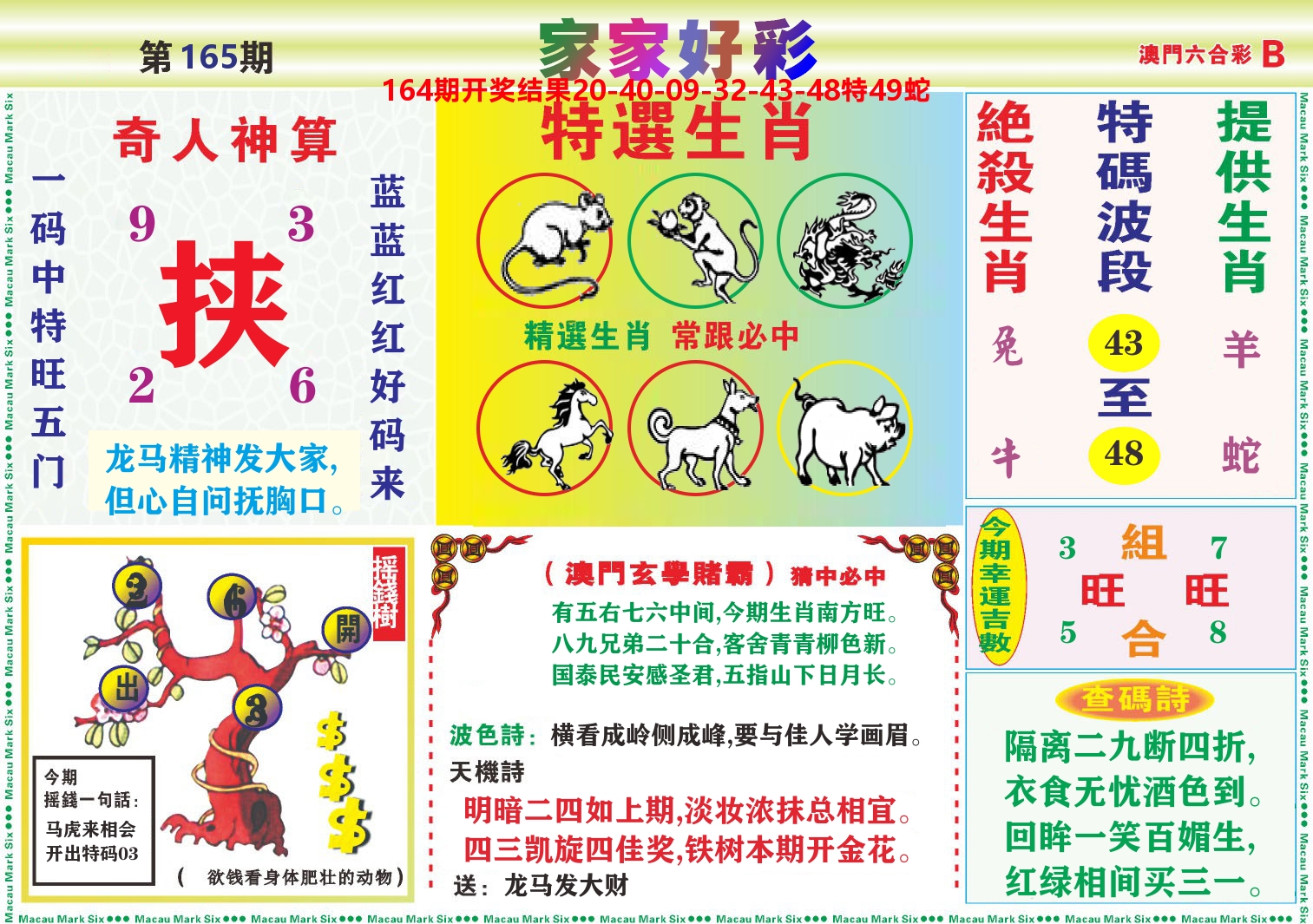 家家好彩B 第165期