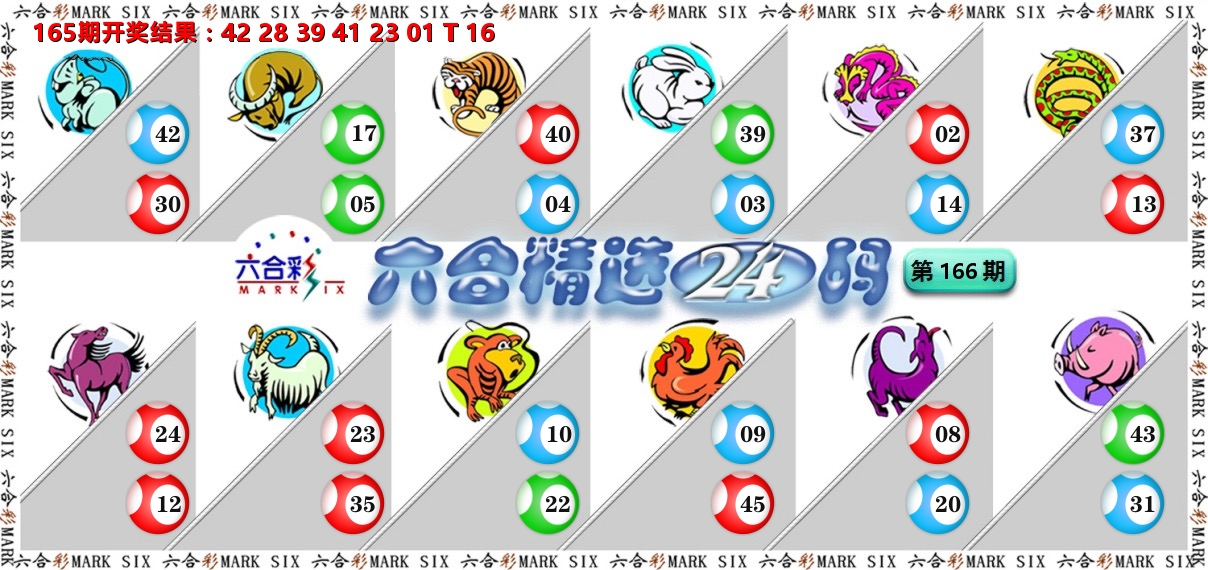 六合精选24码 第166期