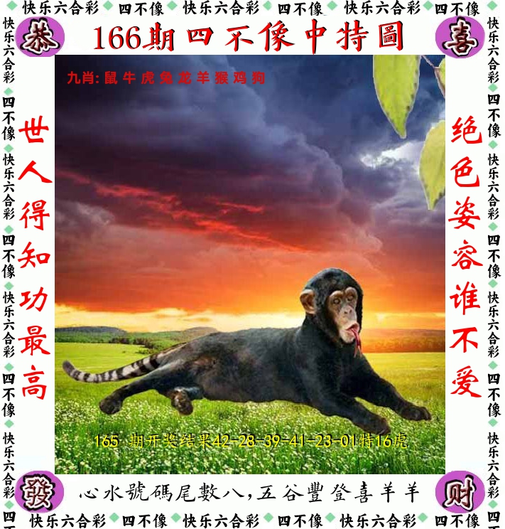 四不像 第166期
