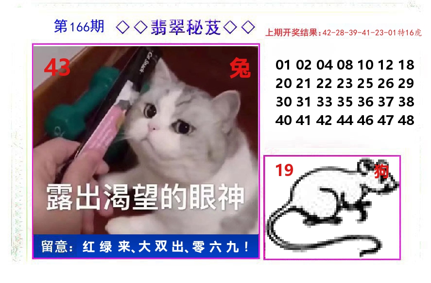 翡翠秘芨 第166期