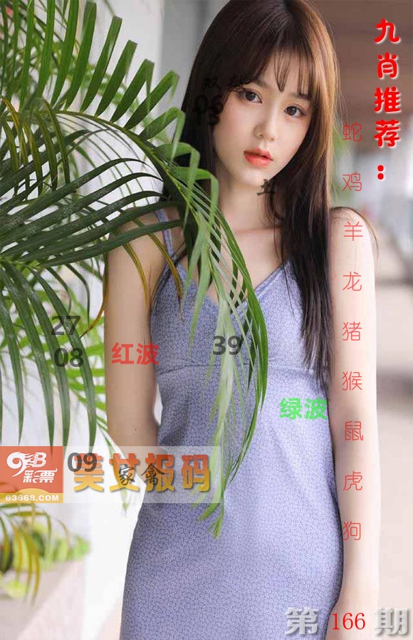美女报码 第166期