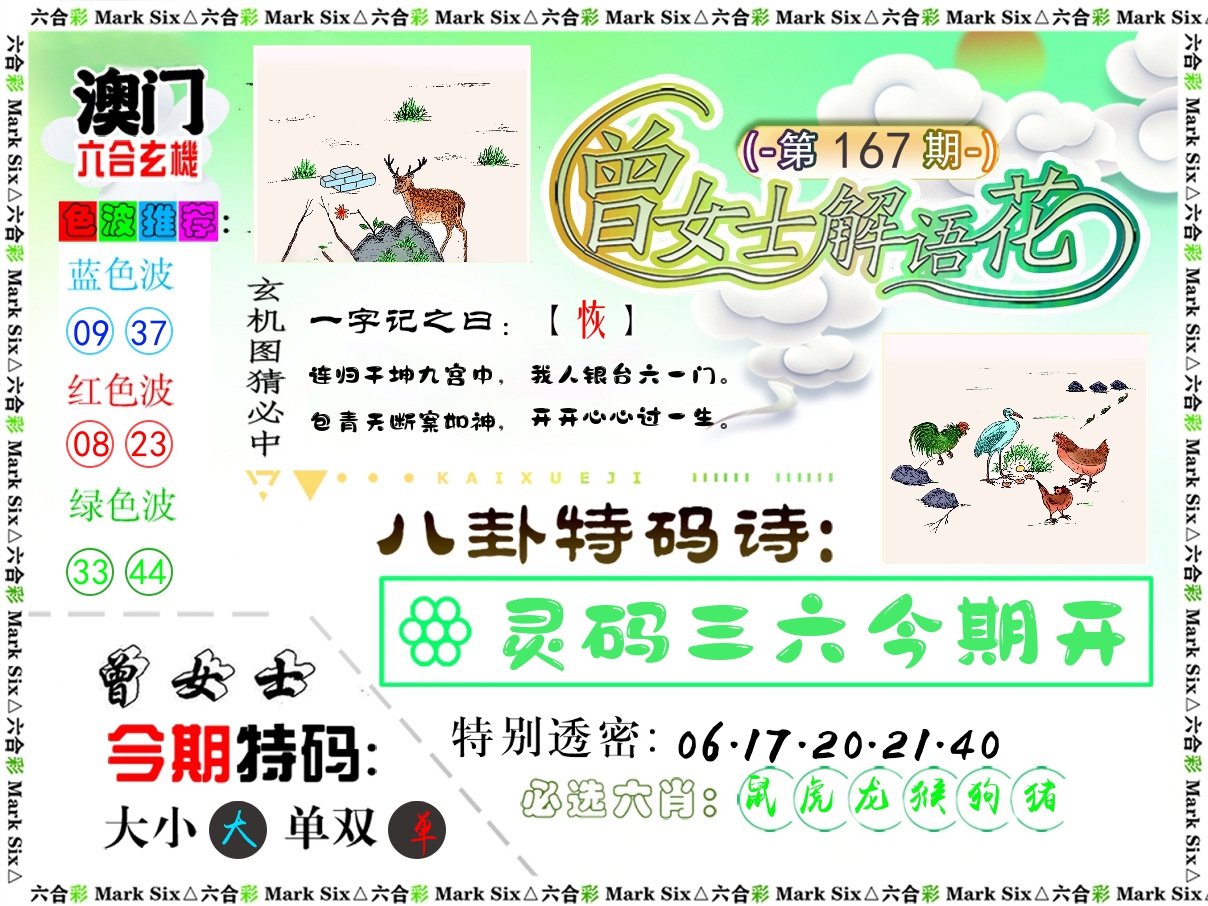 曾女士解语花 第167期