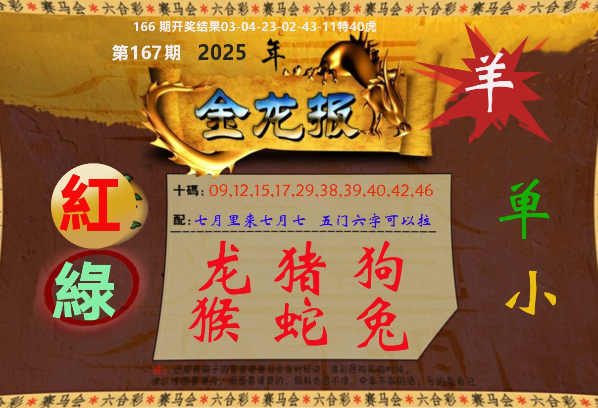 金龙报 第167期