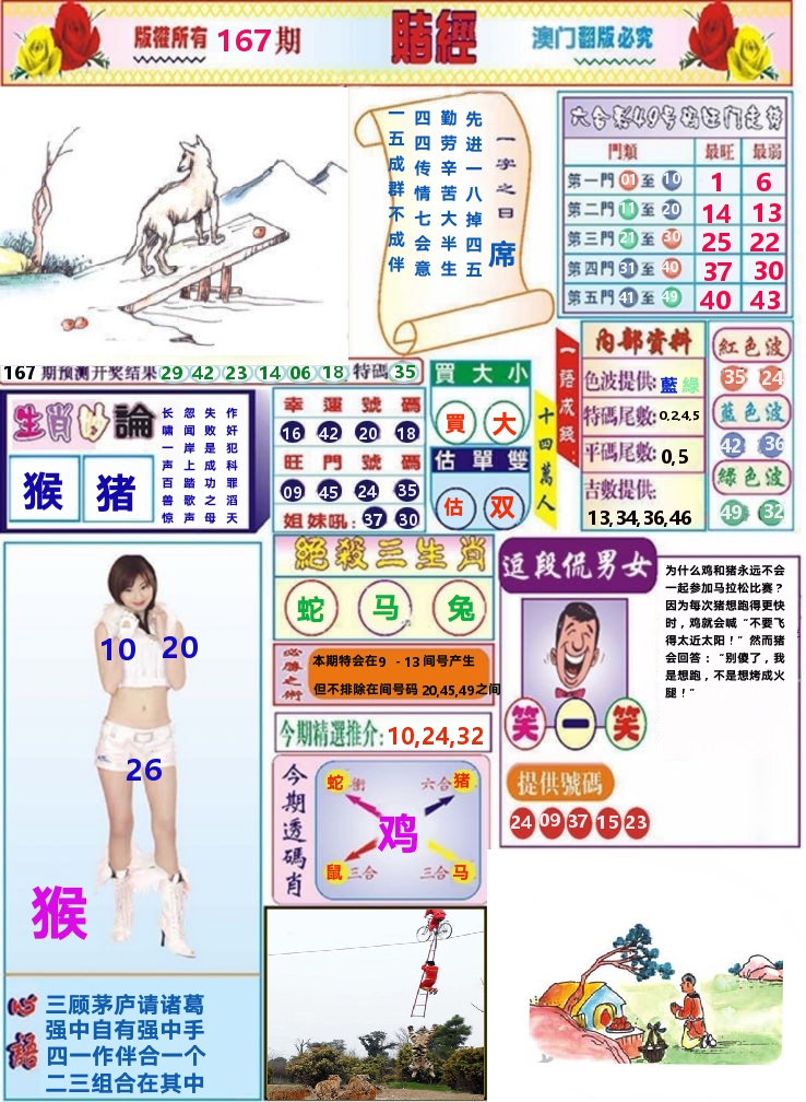 澳门赌经 第167期
