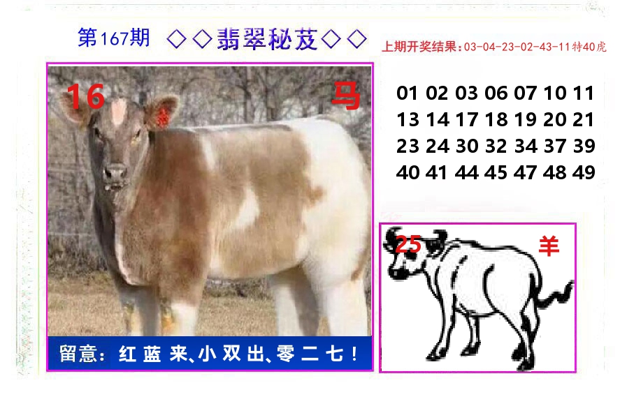 翡翠秘芨 第167期