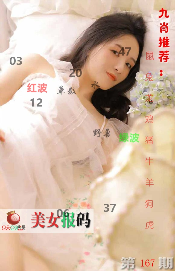 美女报码 第167期