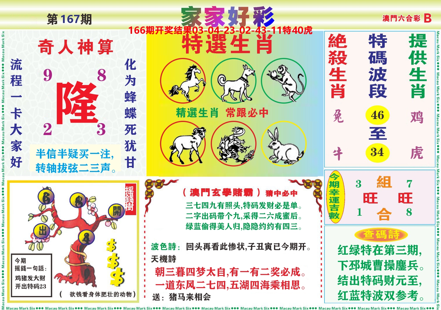 家家好彩B 第167期
