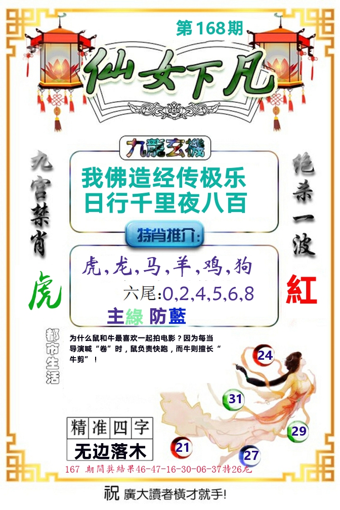 仙女下凡 第168期