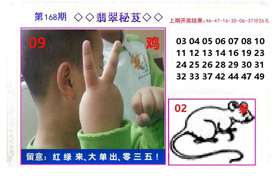 翡翠秘芨 第168期