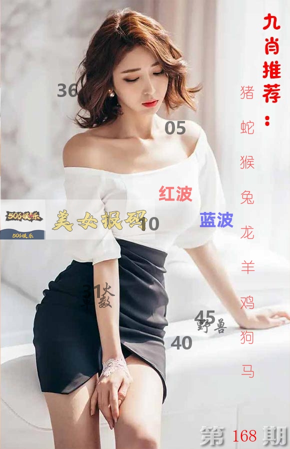 美女报码 第168期
