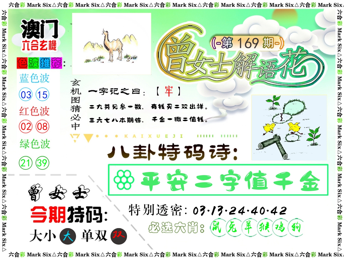 曾女士解语花 第169期