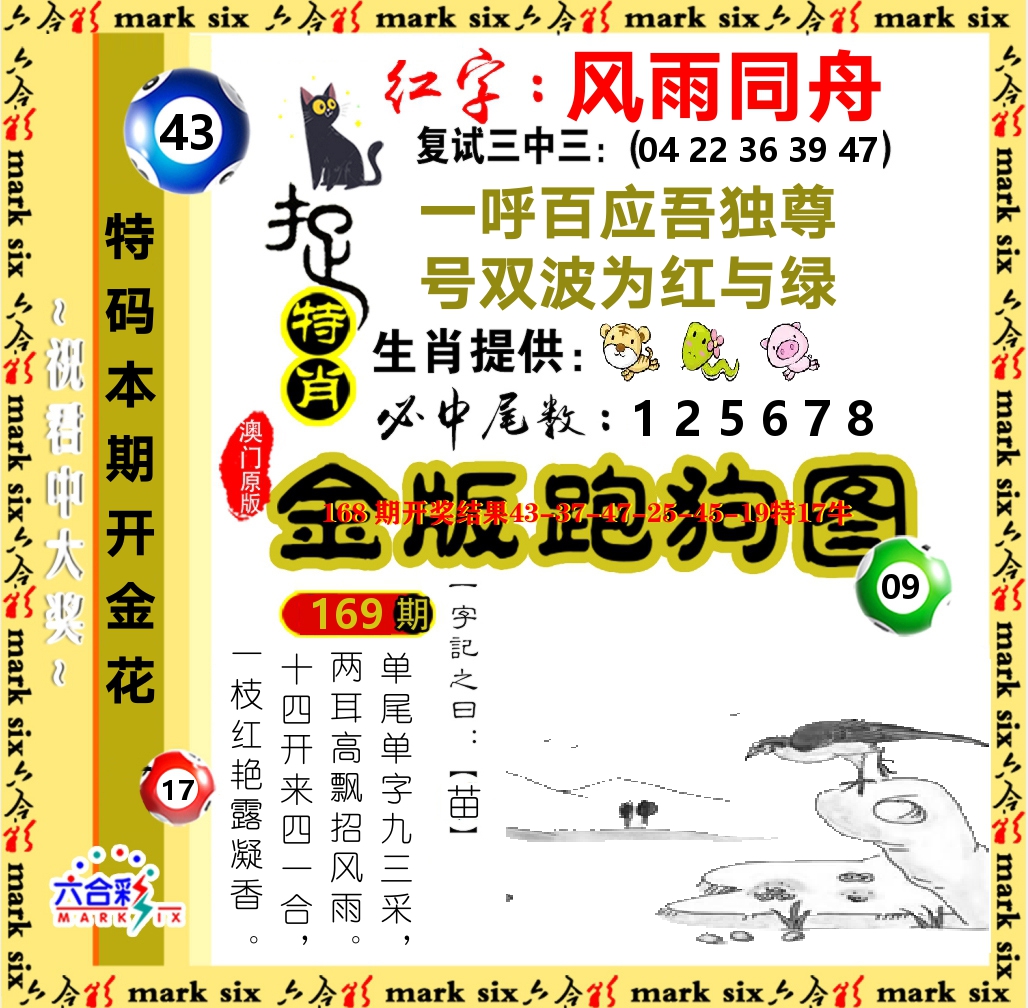金版跑狗图 第169期