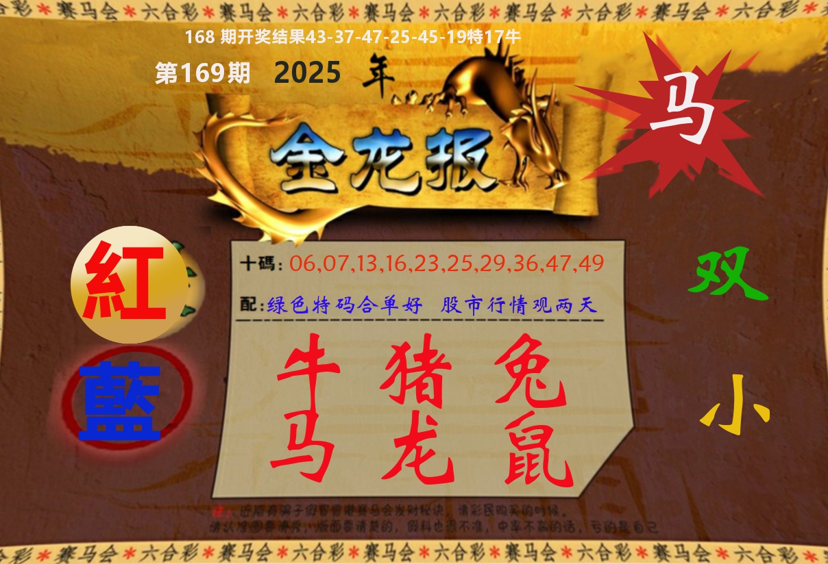 金龙报 第169期
