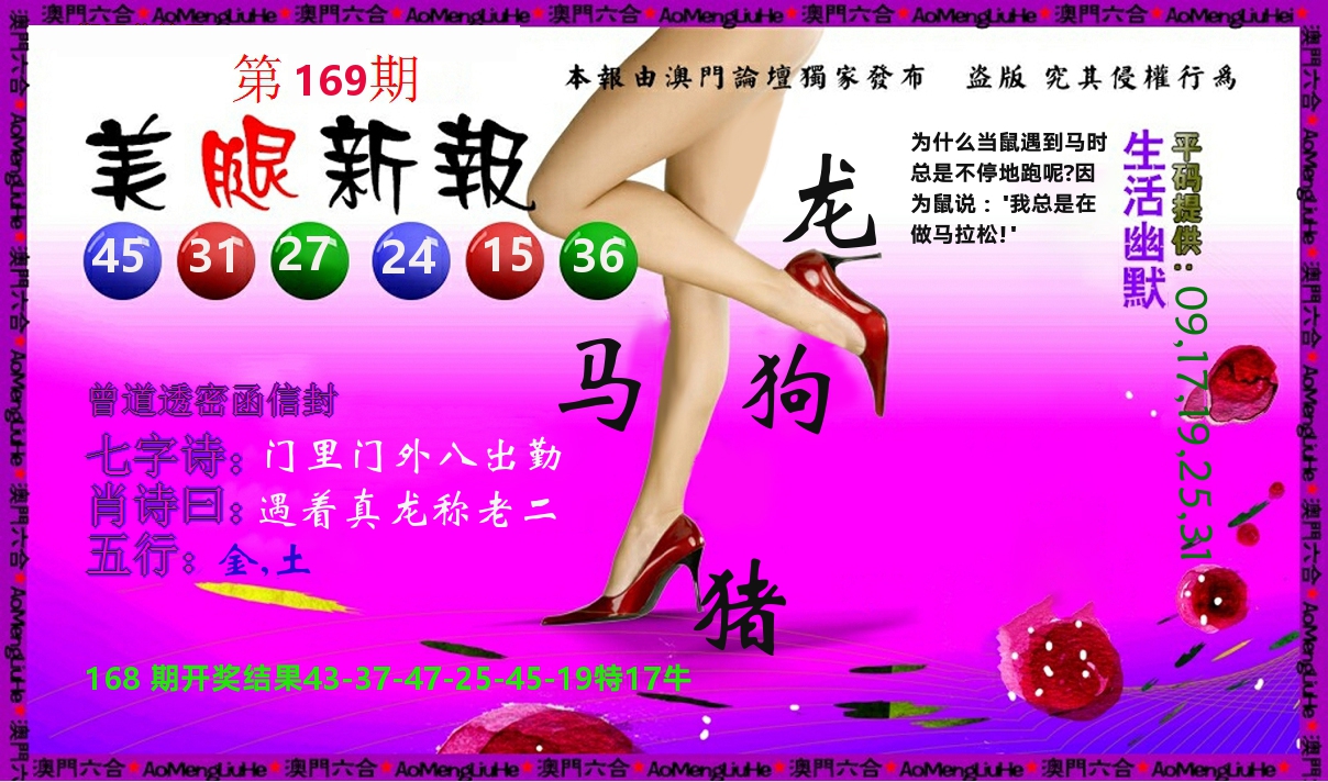 美腿新报 第169期