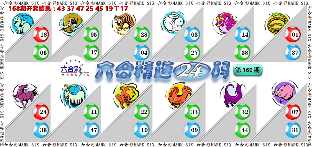 六合精选24码 第169期