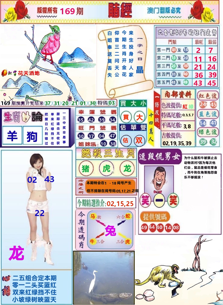 澳门赌经 第169期