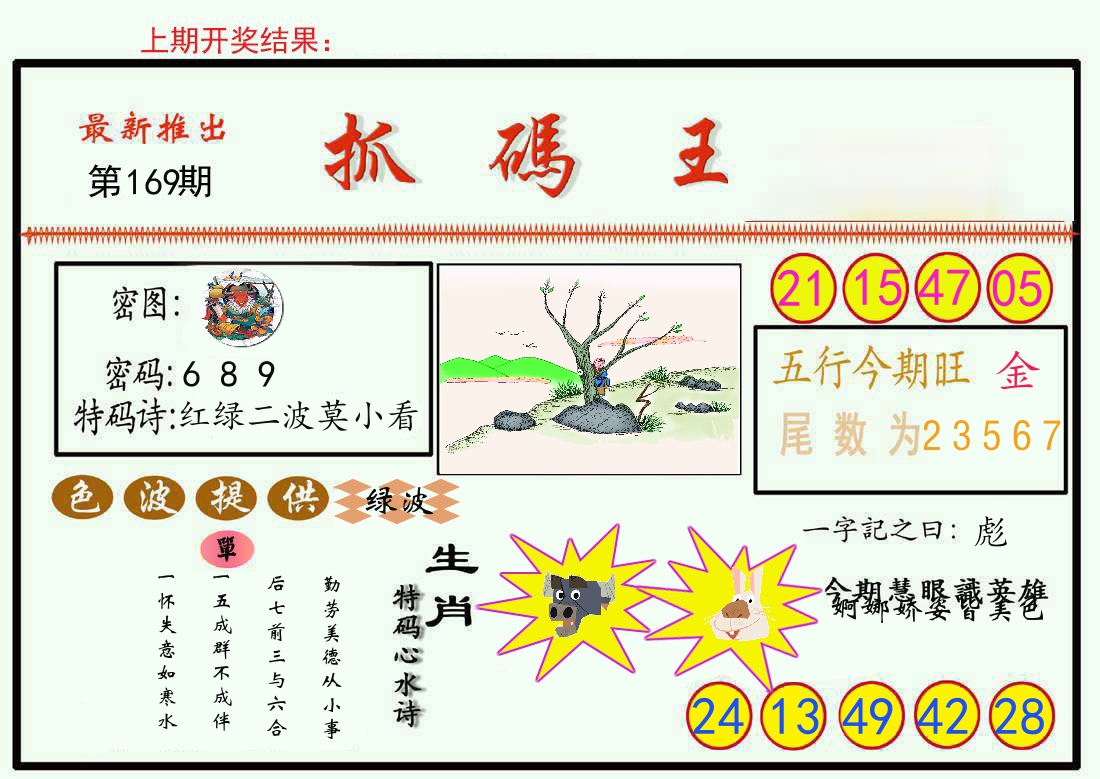 最新抓码王 第169期