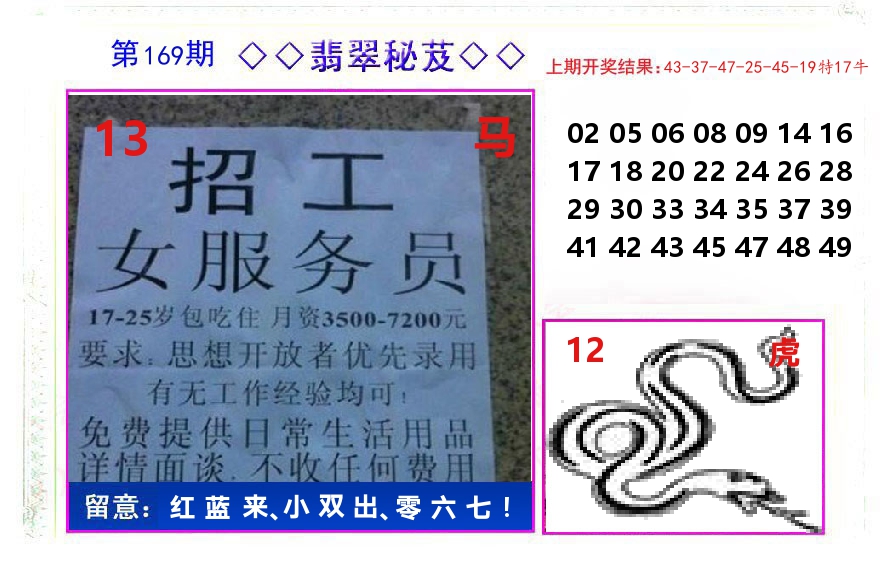翡翠秘芨 第169期