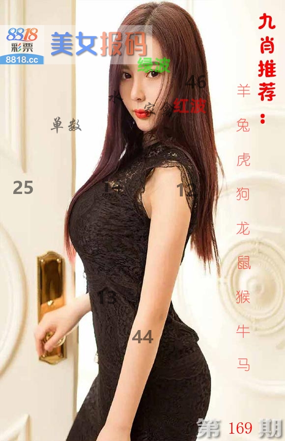 美女报码 第169期