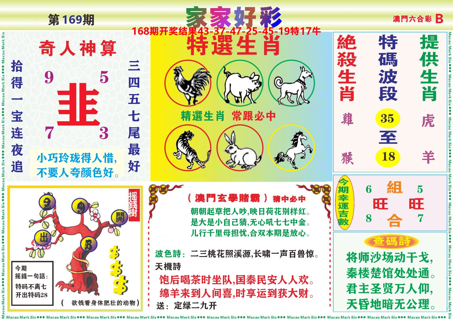 家家好彩B 第169期