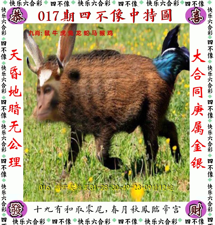 四不像 第17期