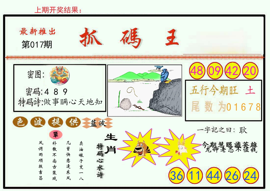 最新抓码王 第17期