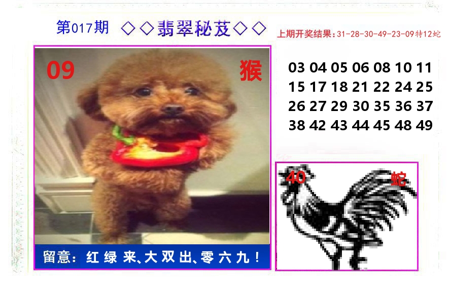 翡翠秘芨 第17期