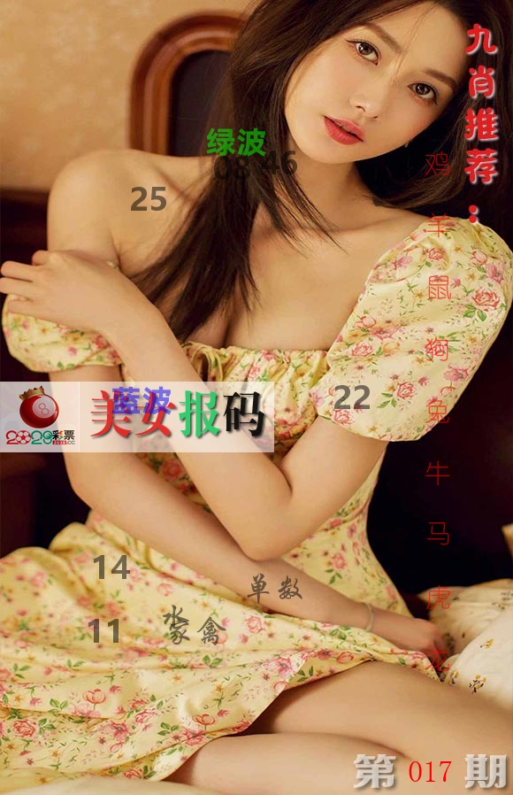 美女报码 第17期