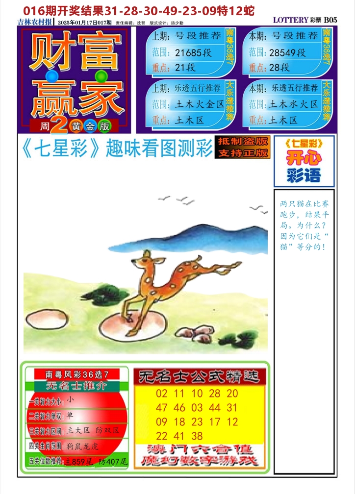 七星彩图A 第17期