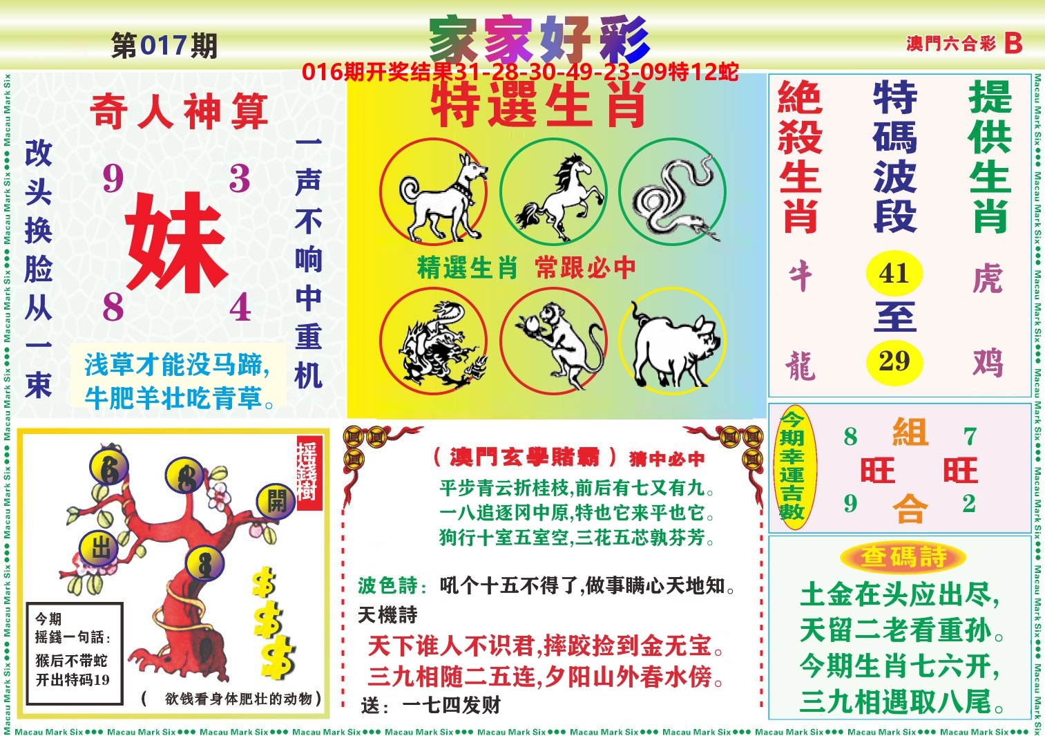 家家好彩B 第17期