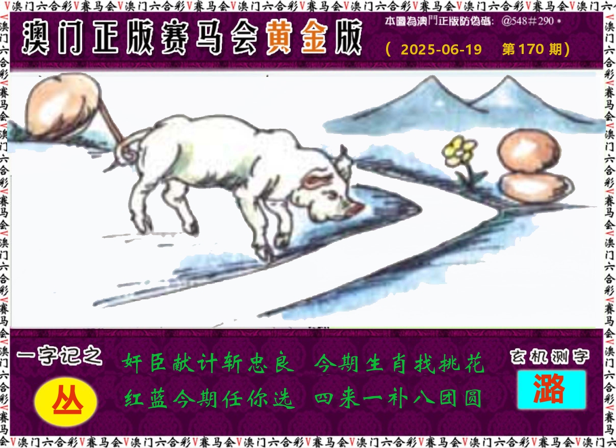 赛马会黄金版 第170期