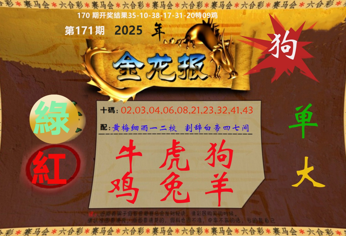 金龙报 第171期