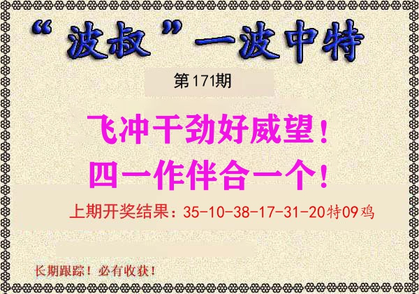 波叔中特 第171期