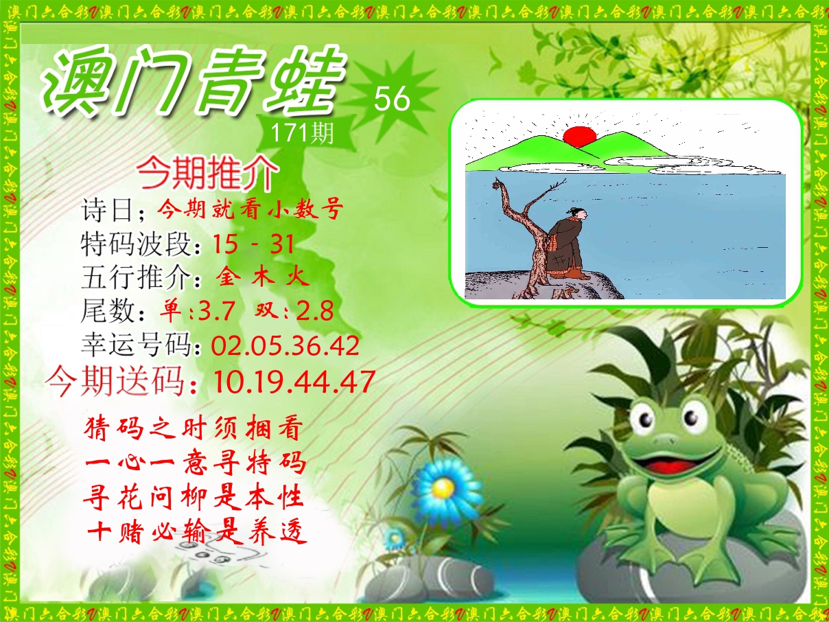 青蛙系列56 第171期
