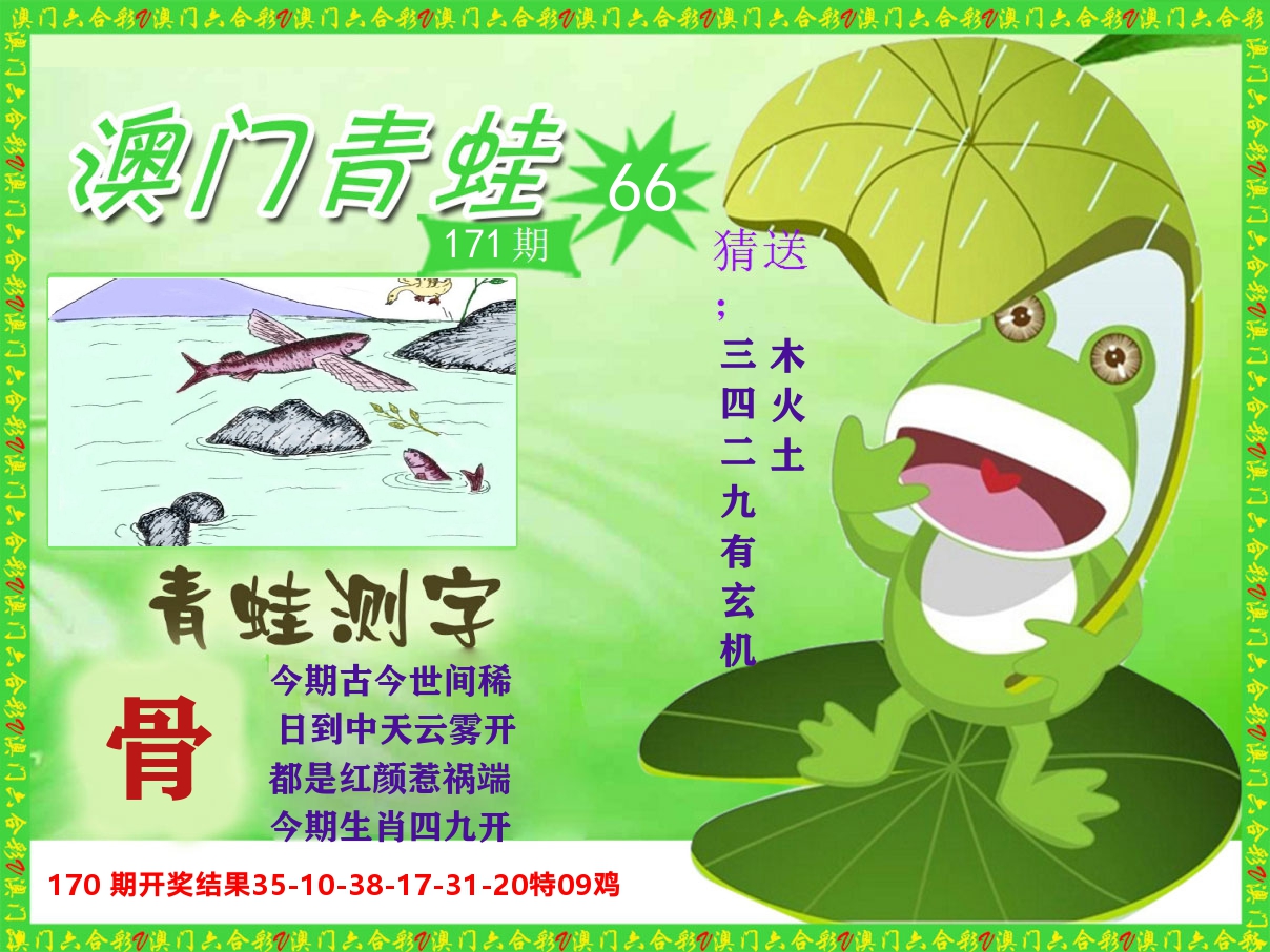 青蛙系列66 第171期