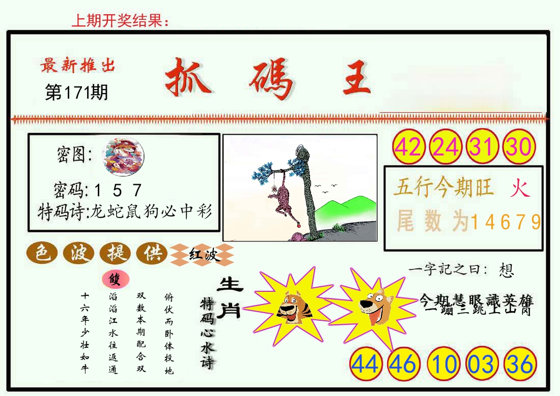 最新抓码王 第171期