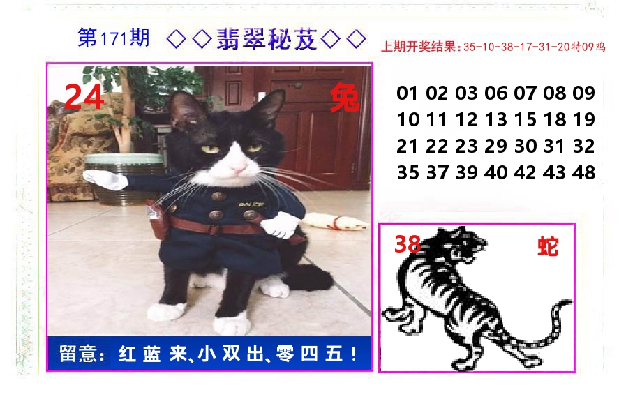 翡翠秘芨 第171期