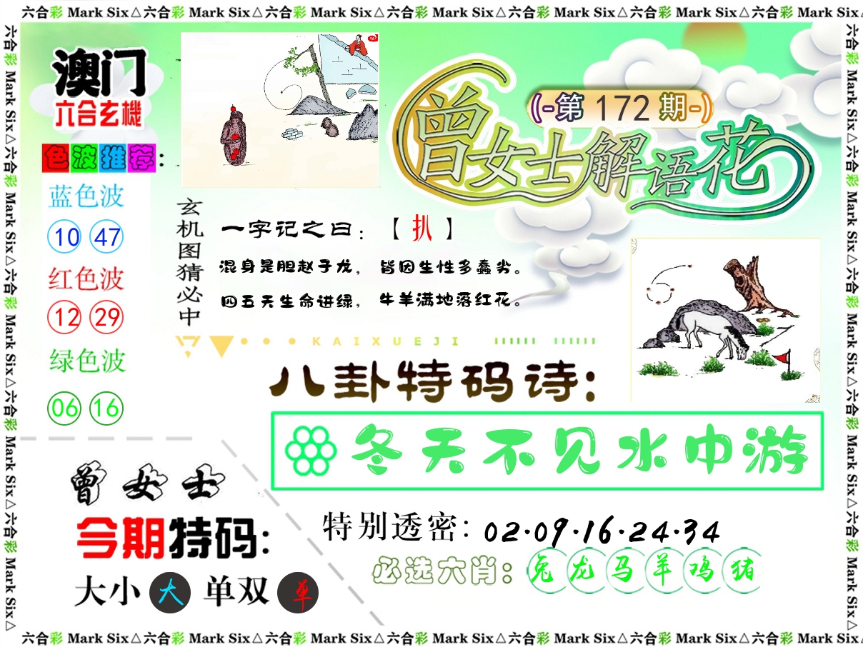 曾女士解语花 第172期