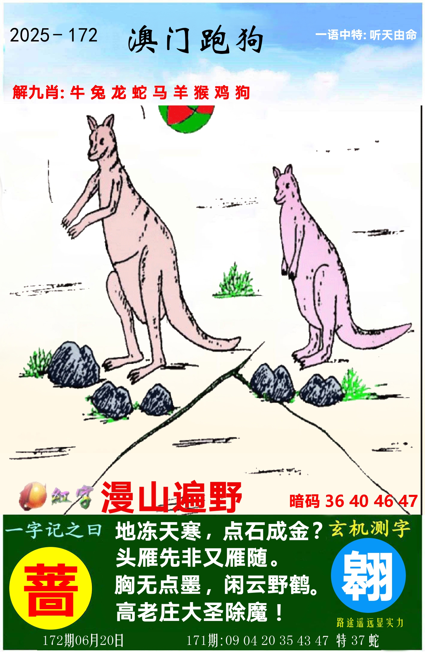 澳门跑狗图 第172期