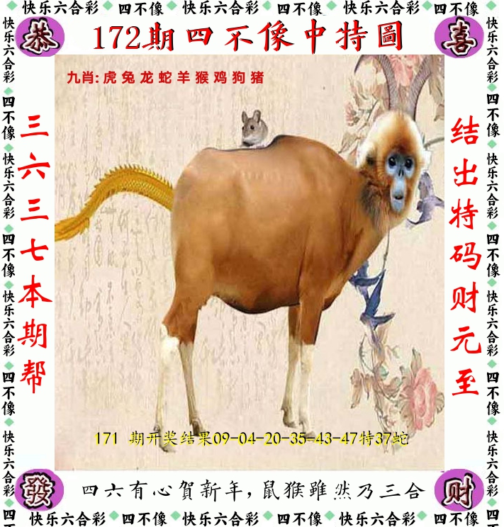 四不像 第172期