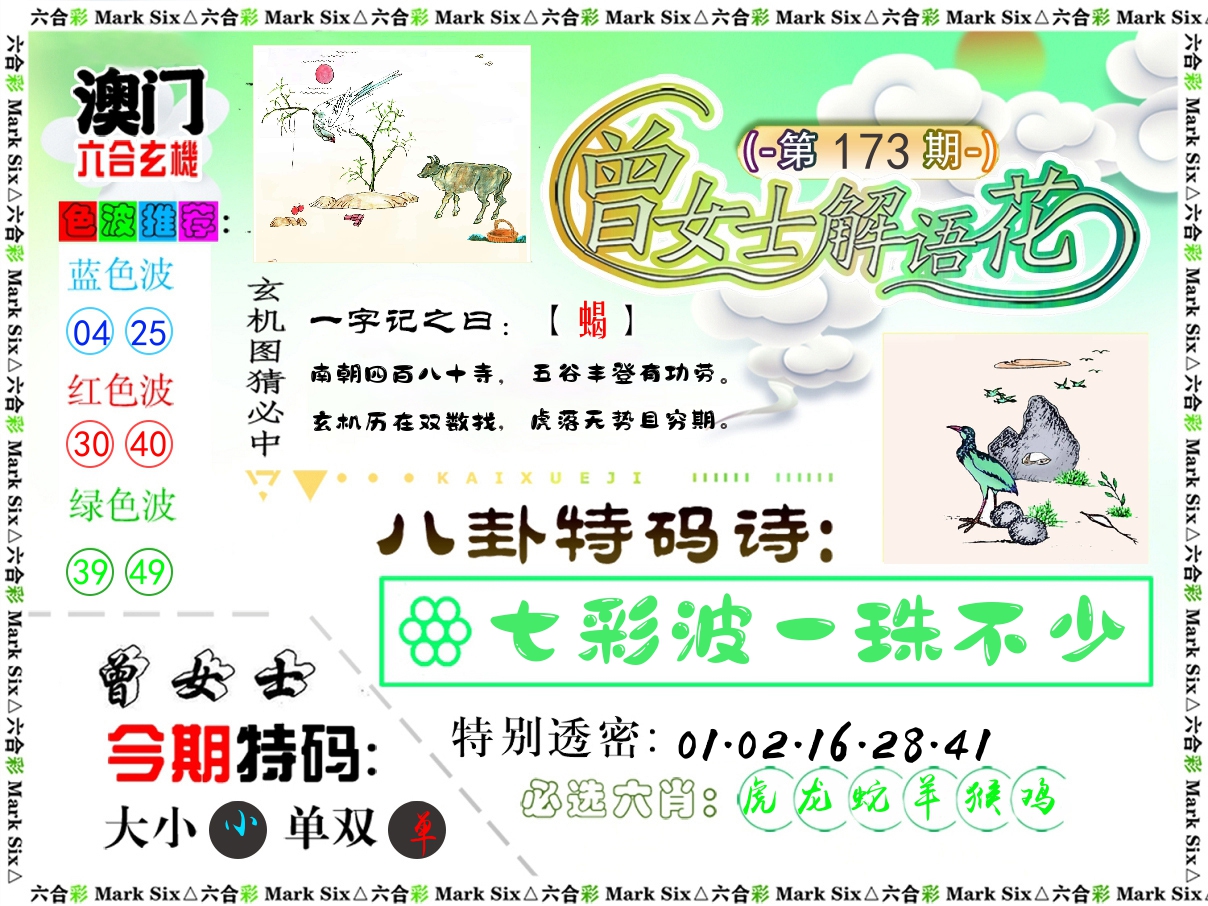 曾女士解语花 第173期