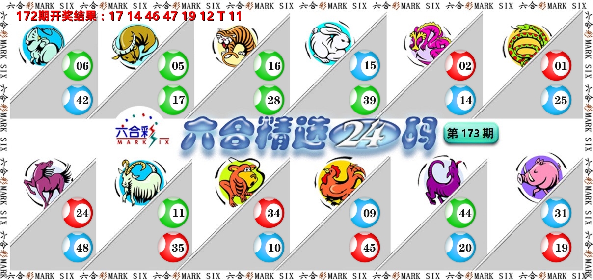 六合精选24码 第173期