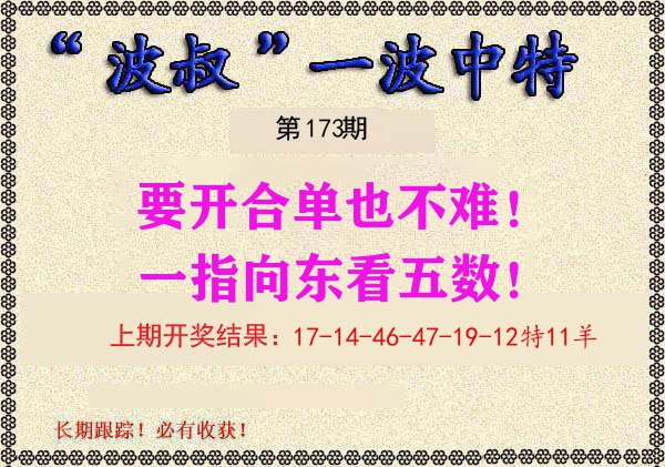 波叔中特 第173期
