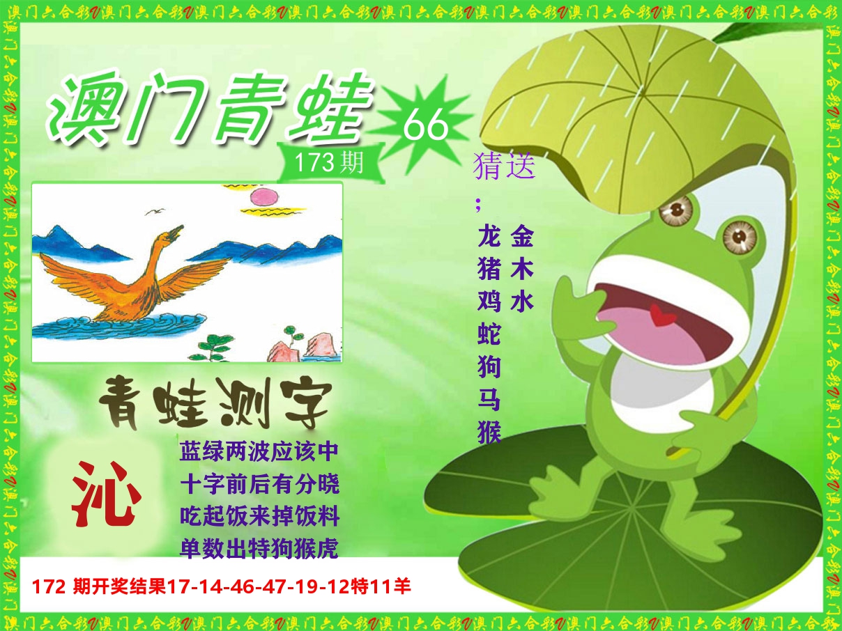 青蛙系列66 第173期